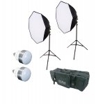 28in Octo 2 Softbox Kit- 2 60W LEDs, 2 6 ft Stands, Bag